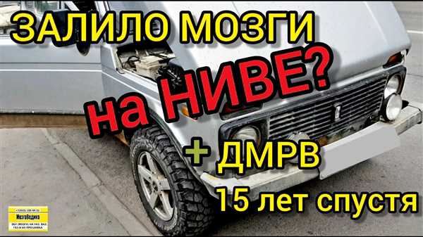 Проверить