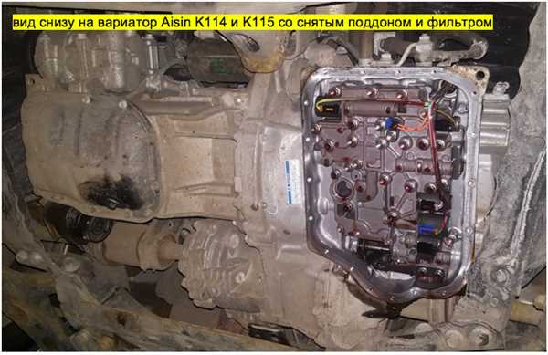 Сроки